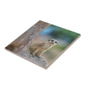 Niedlich Meerkat Sat on Tree Fliese (Seite)