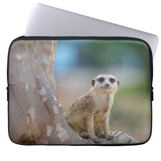 Niedlich Meerkat Sat on Tree Laptopschutzhülle (Vorderseite)