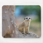 Niedlich Meerkat Sat on Tree Mousepad (Vorne)