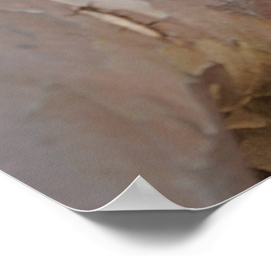 Niedlich Meerkat Sat on Tree Poster (Ecke)