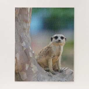 Niedlich Meerkat Sat on Tree Puzzle