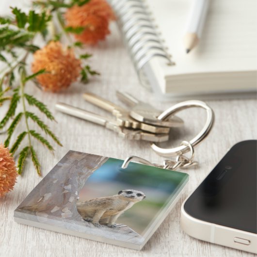 Niedlich Meerkat Sat on Tree Schlüsselanhänger (Vorderseite rechts)