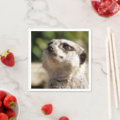 NIEDLICH MEERKAT SERVIETTE (Beispiel)