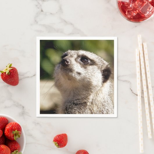 NIEDLICH MEERKAT SERVIETTE (Beispiel)