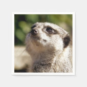 NIEDLICH MEERKAT SERVIETTE (Vorderseite)