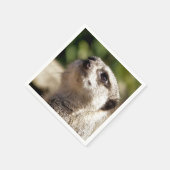 NIEDLICH MEERKAT SERVIETTE (Ecke)