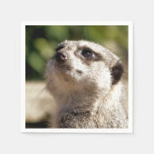 NIEDLICH MEERKAT SERVIETTE (Vorderseite)