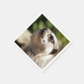 NIEDLICH MEERKAT SERVIETTE (Ecke)