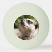 NIEDLICH MEERKAT TISCHTENNISBALL (Rückseite)
