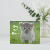 Niedlich Meow Kitten Tiny aber Fierce Postkarte (Stehend Vorderseite)
