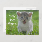 Niedlich Meow Kitten Tiny aber Fierce Postkarte (Vorne/Hinten)