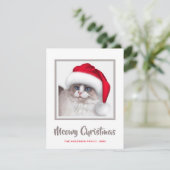 Niedlich Meowy Weihnachtskatze und Weihnachtsmannm Feiertagskarte (Stehend Vorderseite)