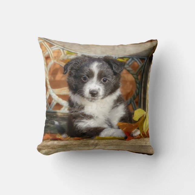 Niedlich Mini Aussie Shepherd Dog Bi-Color Puppy - Kissen (Vorderseite)