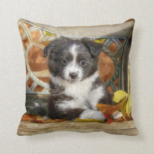 Niedlich Mini Aussie Shepherd Dog Bi-Color Puppy - Kissen