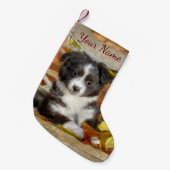 Niedlich Mini Aussie Shepherd Dog Bi-Color Puppy - Kleiner Weihnachtsstrumpf (Vorderansicht (hängend))