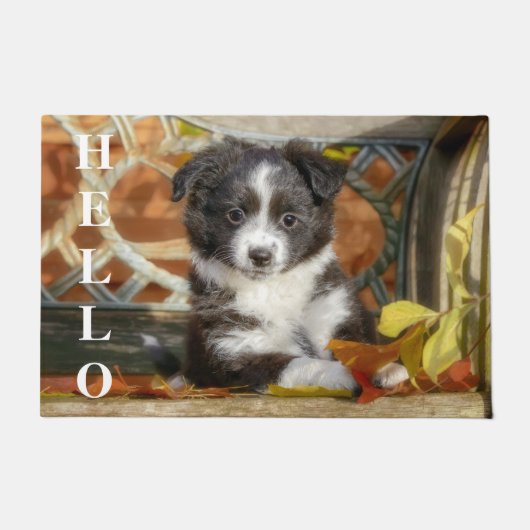 Niedlich Mini Aussie Shepherd Dog Bi-Color-Welpe Fußmatte (Vorderseite)