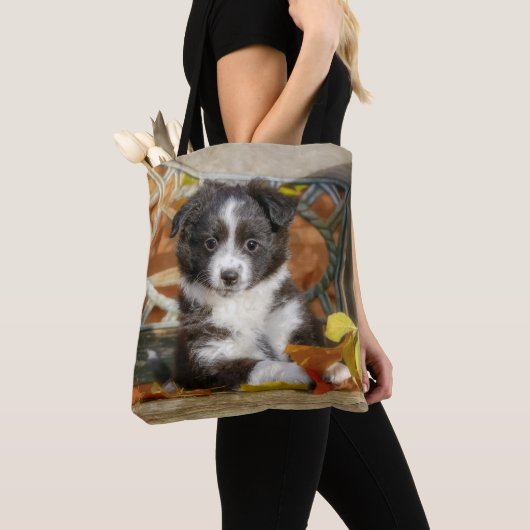 Niedlich Mini Aussie Shepherd Dog Bi-Color-Welpe Tasche (Von Nahem)