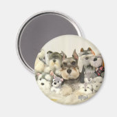 NIEDLICH Mini Schnauzer Magnet (Vorderseite/Rückseite)
