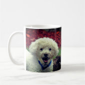 Niedlich Muddy Faced Poodle Personalisiert Kaffeetasse (Links)