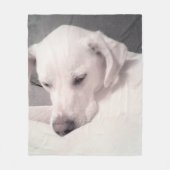 Niedlich müde weißes Labrador Mix Dog Grau Medium Fleecedecke (Vorderseite)
