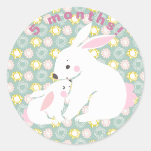 Niedlich Mütter- und Babybunny Meilenstein Sticker