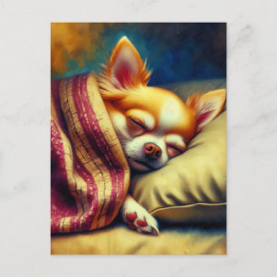 Niedlich Napping Chihuahua   BEHALTEND TOUCH Postkarte