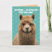 Niedlich No Drama Llama oder Alpaca Mein Stuhl Geb Karte (Vorderseite)
