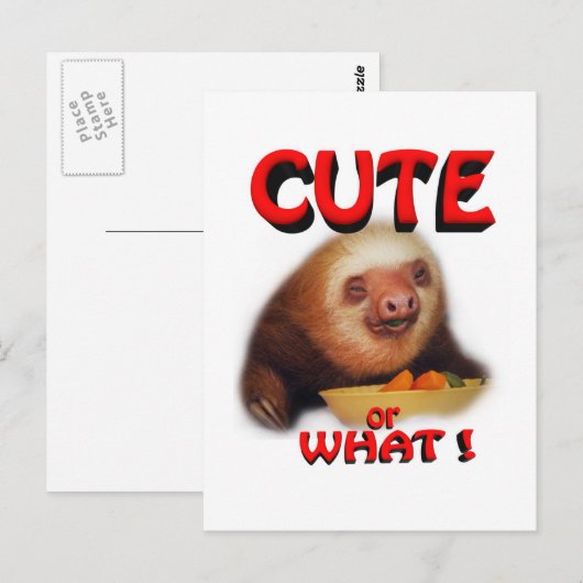 niedlich oder was postkarte (Vorne/Hinten)
