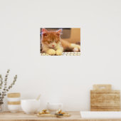 Niedlich Orange Kitten Falls Asleep Poster (Küche)