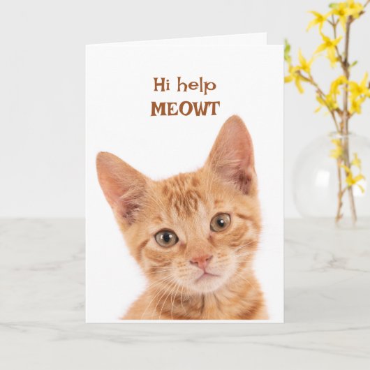 Niedlich Orange Kitten Hi Wie geht es dir bei eine Karte (Gelbe Blume)