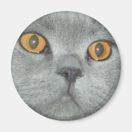 Niedlich Orange Mit Augen Kitty Magnet (Vorne)