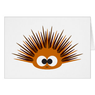 Niedlich Orange Spiny Sea Urchin