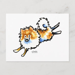 Niedlich Orange White Spitz Postkarte