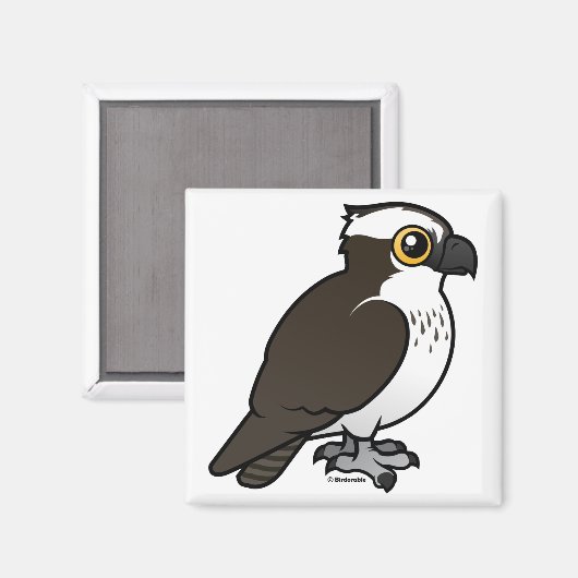 Niedlich Osprey Magnet (Vorderseite/Rückseite)