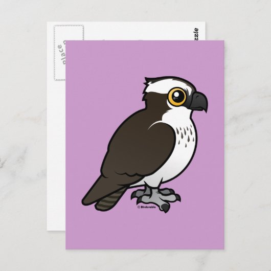 Niedlich Osprey Postkarte (Vorne/Hinten)