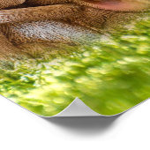 Niedlich Osterfeiern Frühlingserbse Poster (Ecke)