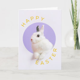 Niedlich Osterhase Feiertagskarte
