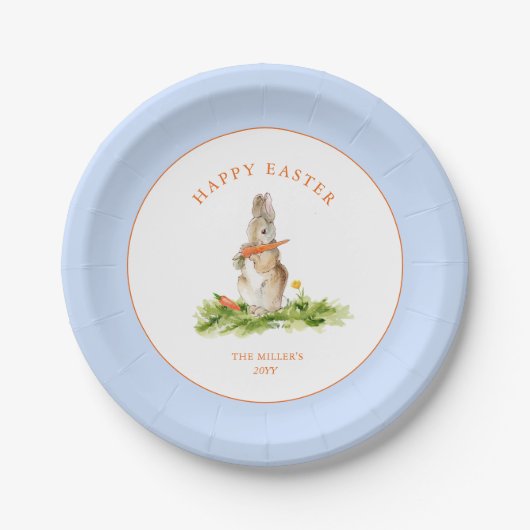 Niedlich Ostern Bunny Blue & White Pappteller (Vorderseite)