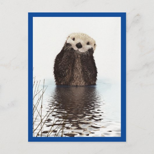 Niedlich Otter Animal Blue Postkarte (Vorderseite)