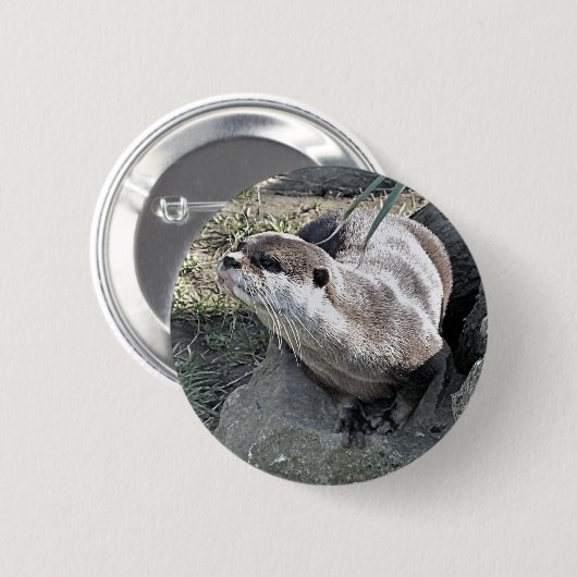 NIEDLICH OTTER BUTTON (Vorne & Hinten)