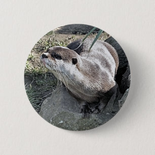 NIEDLICH OTTER  BUTTON