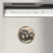 Niedlich-Otter-Familie | Kuddelzeit Magnet (In Situ (Geschirrspüler))
