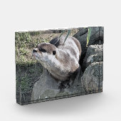 NIEDLICH OTTER FOTOBLOCK (Links)