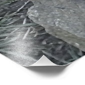 NIEDLICH OTTER FOTODRUCK (Ecke)