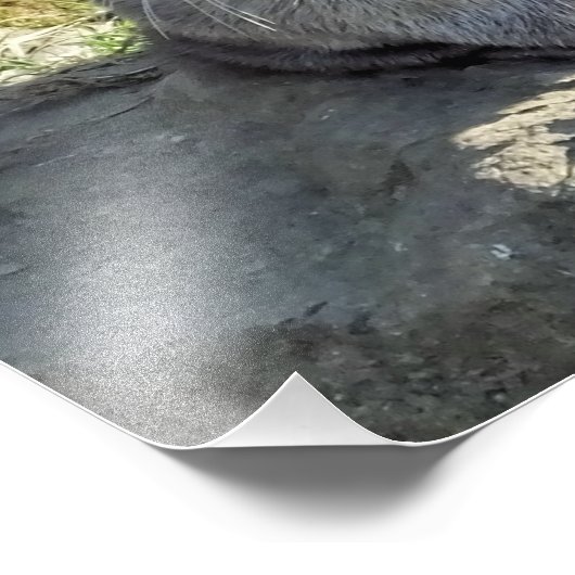 NIEDLICH OTTER FOTODRUCK (Ecke)