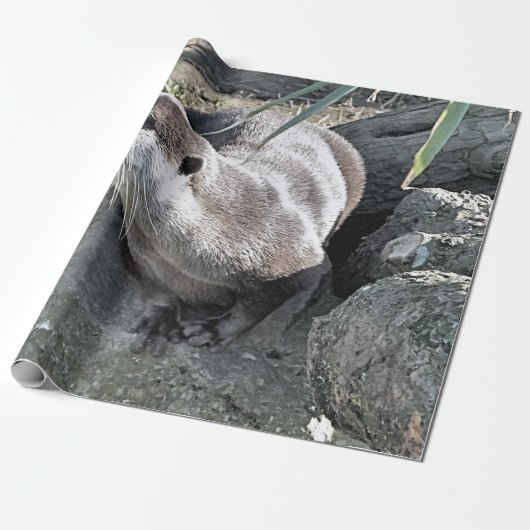 NIEDLICH OTTER GESCHENKPAPIER (Ungerollt)