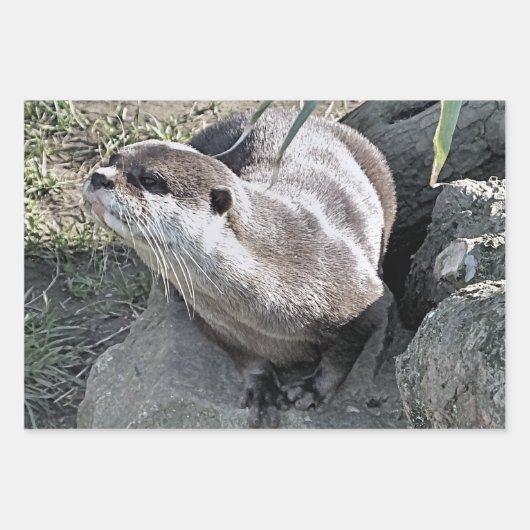NIEDLICH OTTER GESCHENKPAPIER SET (Vorderseite 3)