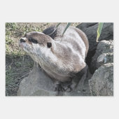 NIEDLICH OTTER GESCHENKPAPIER SET (Vorderseite 2)