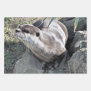 NIEDLICH OTTER GESCHENKPAPIER SET