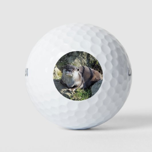 NIEDLICH OTTER GOLFBALL (Vorderseite)